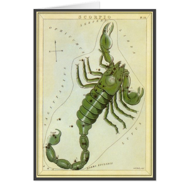 Vintage Zodiac, Astrology Scorpio Constellation (Front)