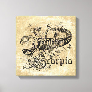 Vintage Zodiac Scorpio Canvas Print