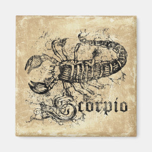 Vintage Zodiac Scorpio Magnet