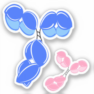 Vinyl sticker - blue IgG (antibody) w/ bonus