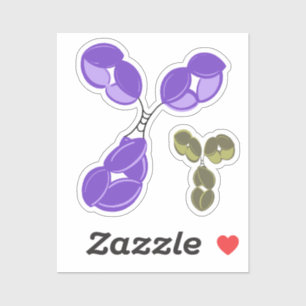 Vinyl sticker - purple IgG (antibody) w/ bonus
