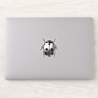 Vinyl Sticker Vintage graphic image Ladybug