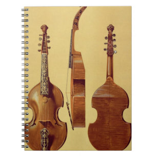 Viola d'Amore, 18th century, from 'Musical Instrum Spiral Notebook