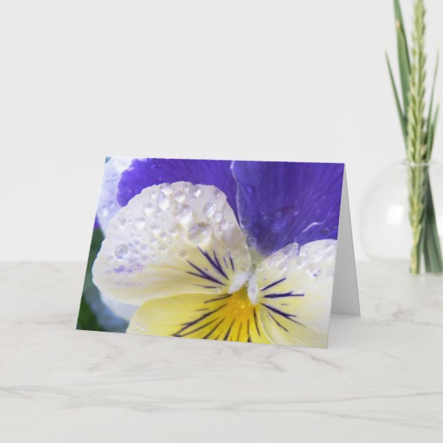 Viola Flowers Greeting Card (Front)