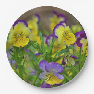 Viola Paper Plate