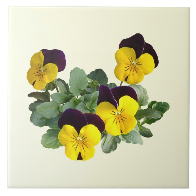Violas Sorbet Yellow Jump Up Tile (Front)