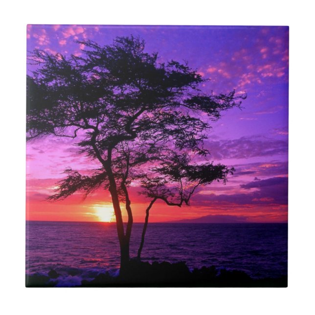 Violet and Pink Sunset Tree Tile (Front)