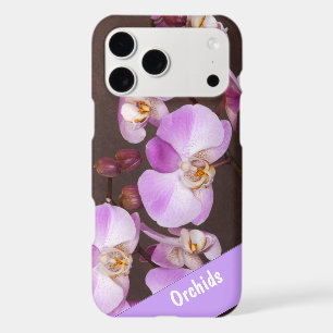 Violet and White Orchid Close-Up Photograph