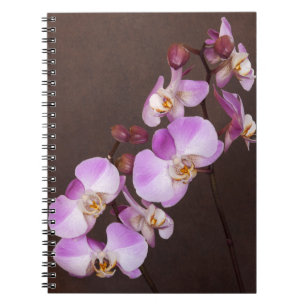 Violet and White Orchid Close Up Photograph Spiral Notebook