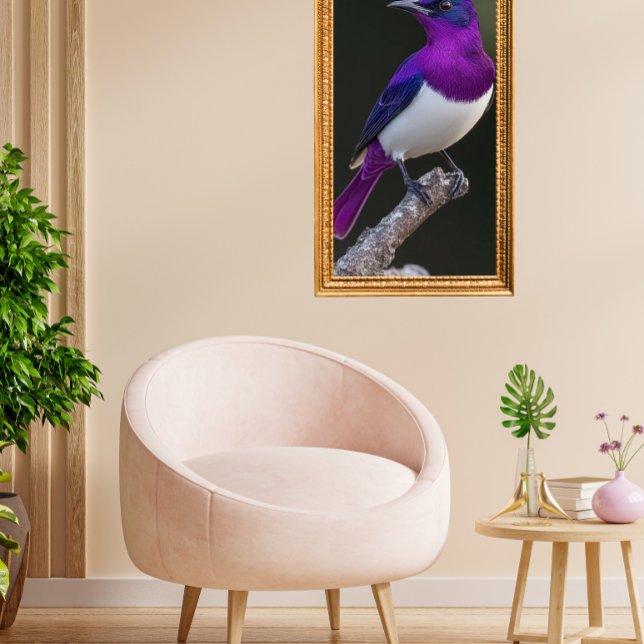 Violet-backed Starling  Poster (Creator Uploaded)