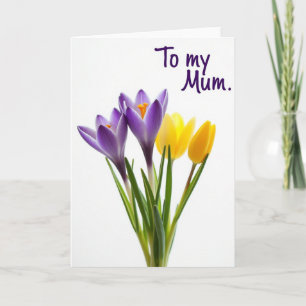 Violet Blooms Mum Card