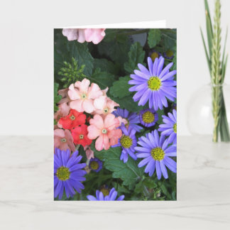 Violet, blue, Pink and Coral Blooms Greeting Card