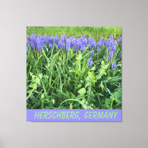 Violet Bluebell Canvas Print