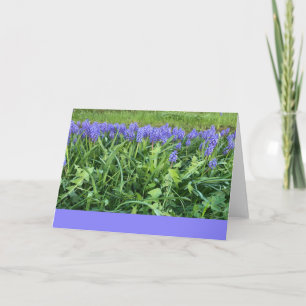 Violet Bluebells Photography - Herschberg, Germany Card