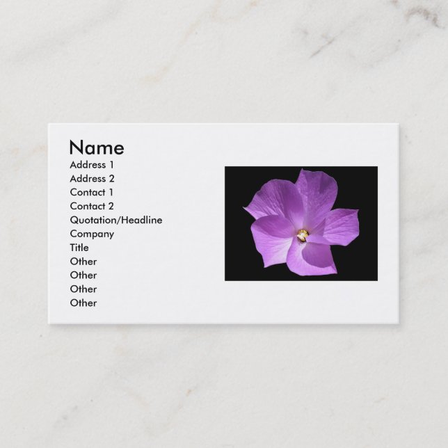 Violet Business Card (Front)