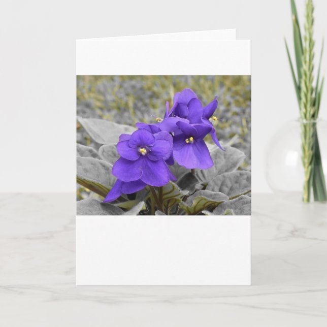 Violet, card (Front)