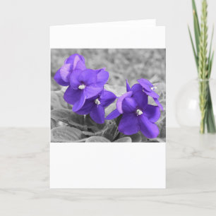 Violet, card