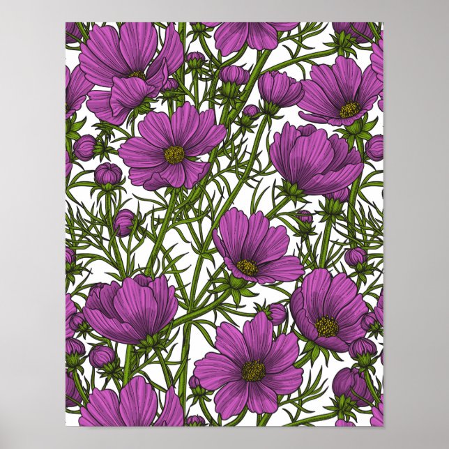 Violet cosmos flowers poster (Front)