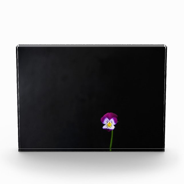 Violet Flower pbcnm Photo Block (Front)