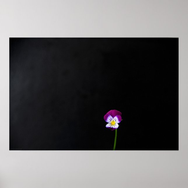 Violet Flower wapcna Poster (Front)