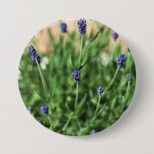 Violet flowers button