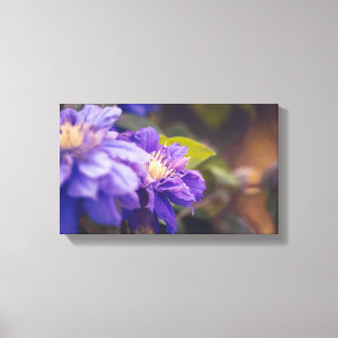 Violet flowers canvas print
