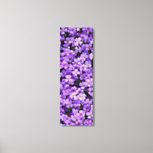 Violet Flowers Canvas Print Violets Spring