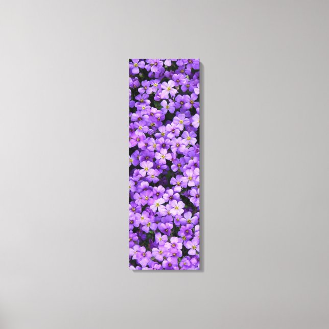 Violet Flowers Canvas Print Violets Spring (Front)