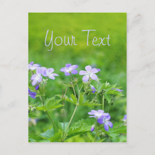 Violet flowers in the field postcard