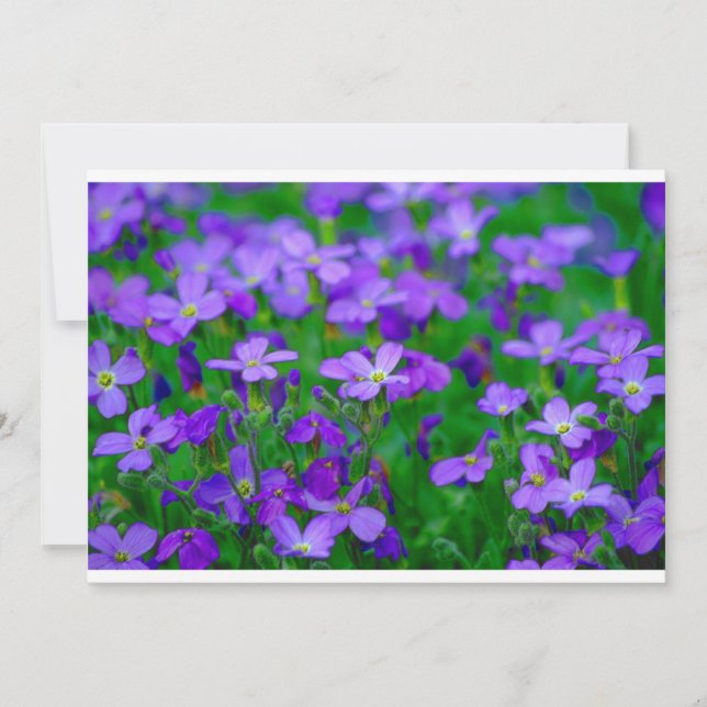 Violet Flowers Invitation (Front)