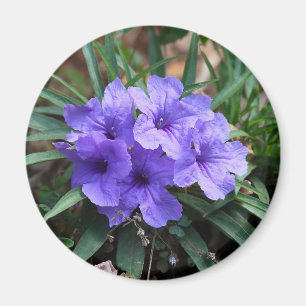 Violet flowers magnet
