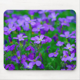 Violet Flowers Mousepad