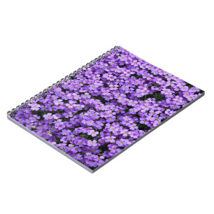Violet Flowers Notebook