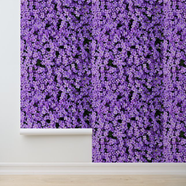 Violet Flowers Wallpaper (Application)