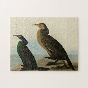 Violet-green & Townsend's Cormorant, Audubon Birds Jigsaw Puzzle