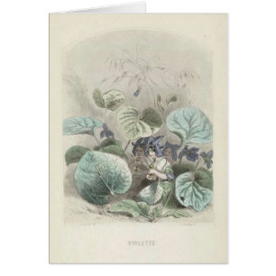 Violet Les Fleurs
