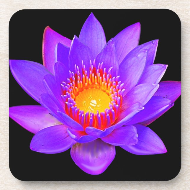 Violet Lotus Flower on Black Coaster (Front)