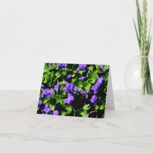 Violet Note Cards