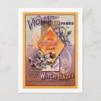 Violet Perfumed - 1903