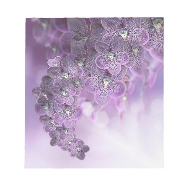 Violet Purple Blooming Flower Orchids Notepad (Front)