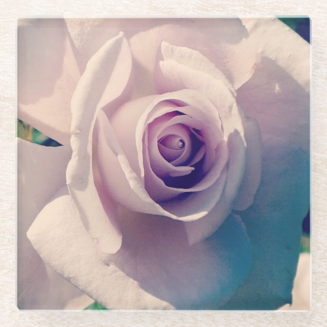 Violet Rose Glass Coaster (Front)