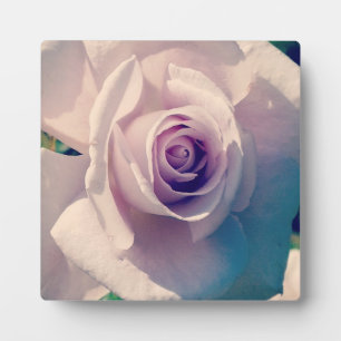 Violet Rose Plaque