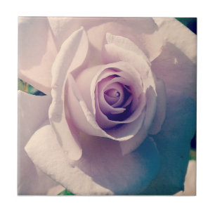 Violet Rose Tile