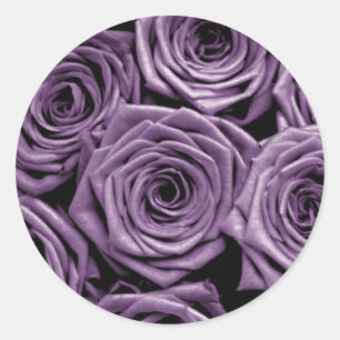 Violet Roses Classic Round Sticker
