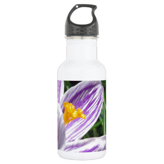 Violet spring crocus 532 ml water bottle