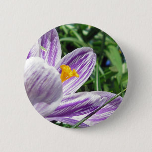 Violet Spring Crocus 6 Cm Round Badge