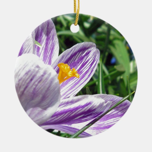 Violet Spring Crocus Ceramic Tree Decoration (Front)