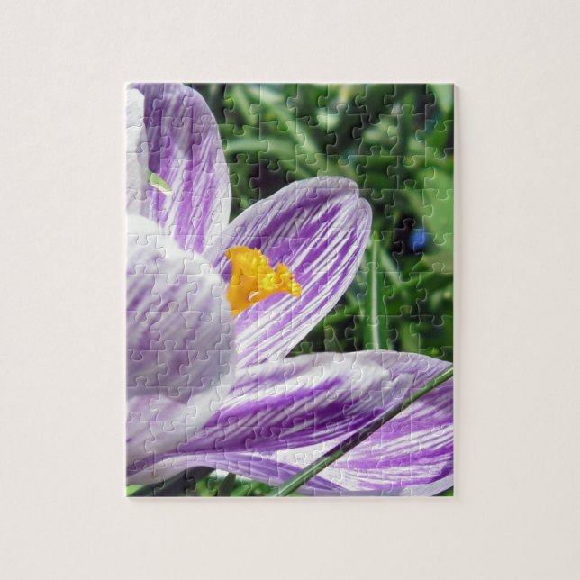Violet spring Crocus Jigsaw Puzzle (Vertical)