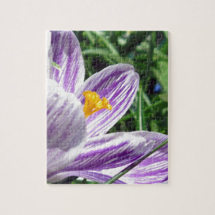 Violet Spring Crocus Jigsaw Puzzle