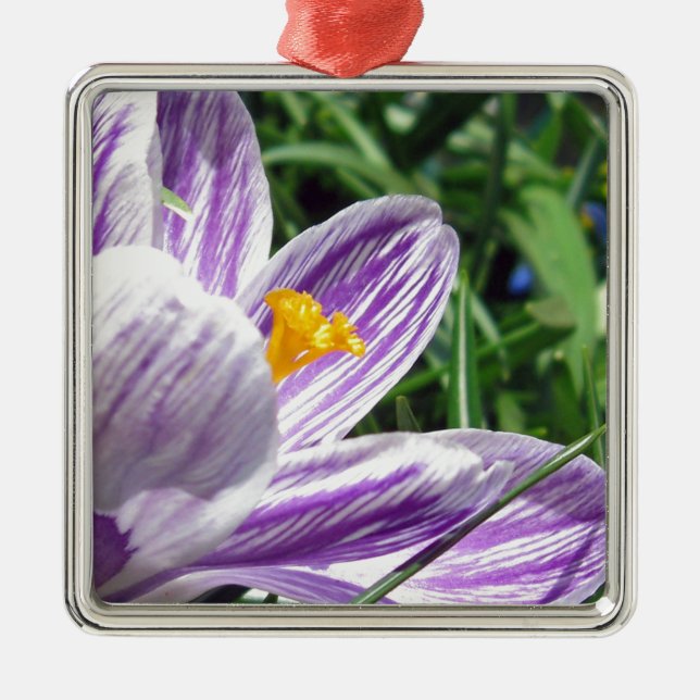 Violet Spring Crocus Metal Tree Decoration (Front)